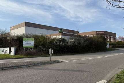 Halle in Leingarten 20.500 € 3198 m² zimmer