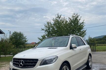 Mercedes-Benz ML 350 169.400 km 21.700 &euro; Schwaigern 74193