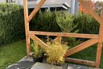 Maisonettenwohnung Weinsberg - 4 Zimmer, 120 m&sup2;, 1.500&euro; | Angebot:26681919