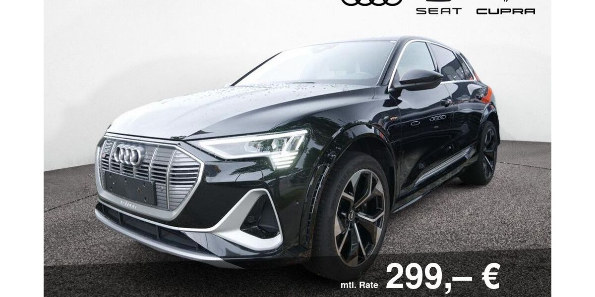 Audi e-tron 132.250 km 28.490 &euro; Bietigheim-Bissingen 74321