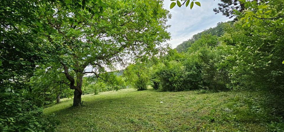 Einfamilienhaus Heilbronn Horkheim - 86.000&euro; | Angebot:20260802