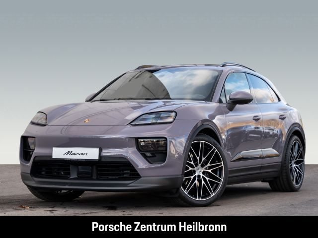 Macan