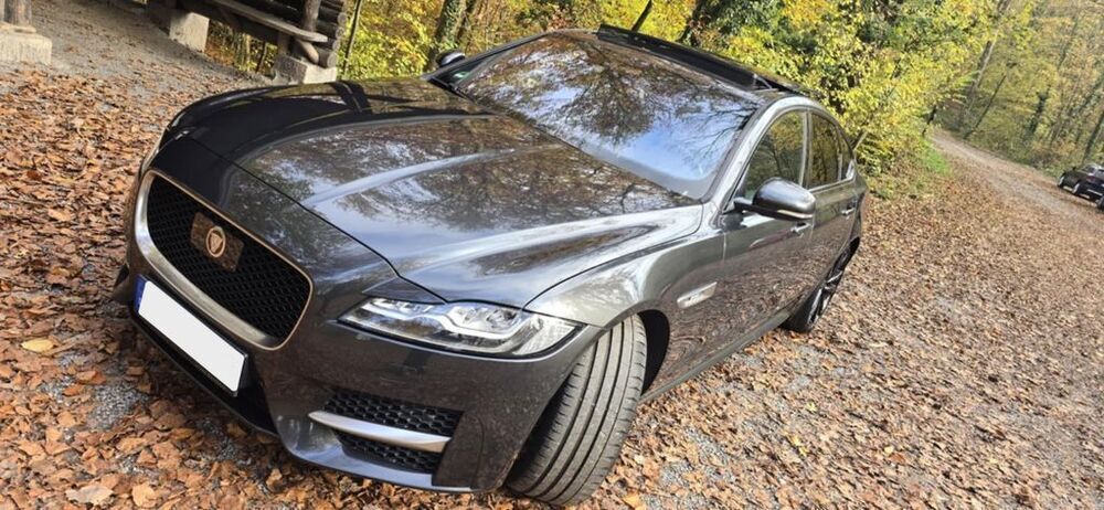 XF