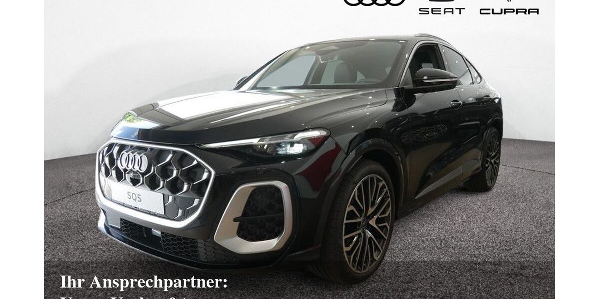 Audi SQ5 3.500 km 89.870 &euro; Bietigheim-Bissingen 74321