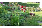 Solides Reihenmittelhaus - Einfamilienhaus Obersulm Willsbach | Angebot:26986071