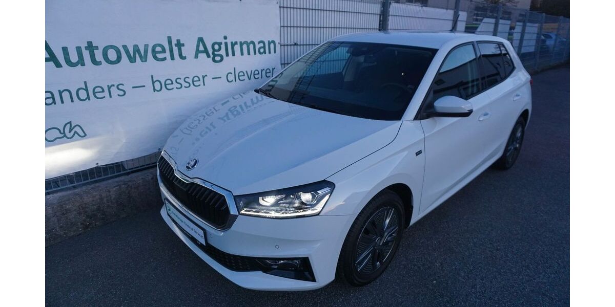 Skoda Fabia 34.919 km 20.490 &euro; Bad Rappenau 74906