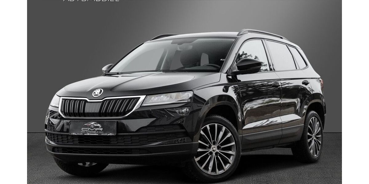 Skoda Karoq 125.000 km 18.840 &euro; Roigheim 74255
