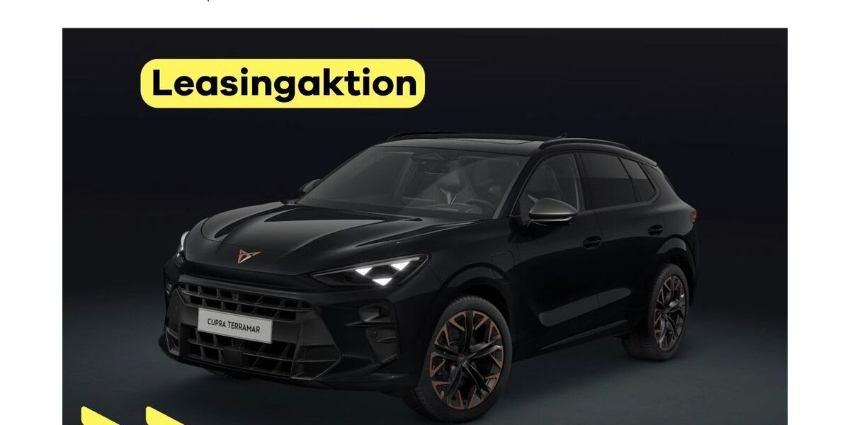 Cupra Terramar 10.000 km 45.950 € Heilbronn 74076