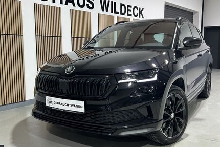 Skoda Karoq 97.200 km 27.770 &euro; Abstatt 74232
