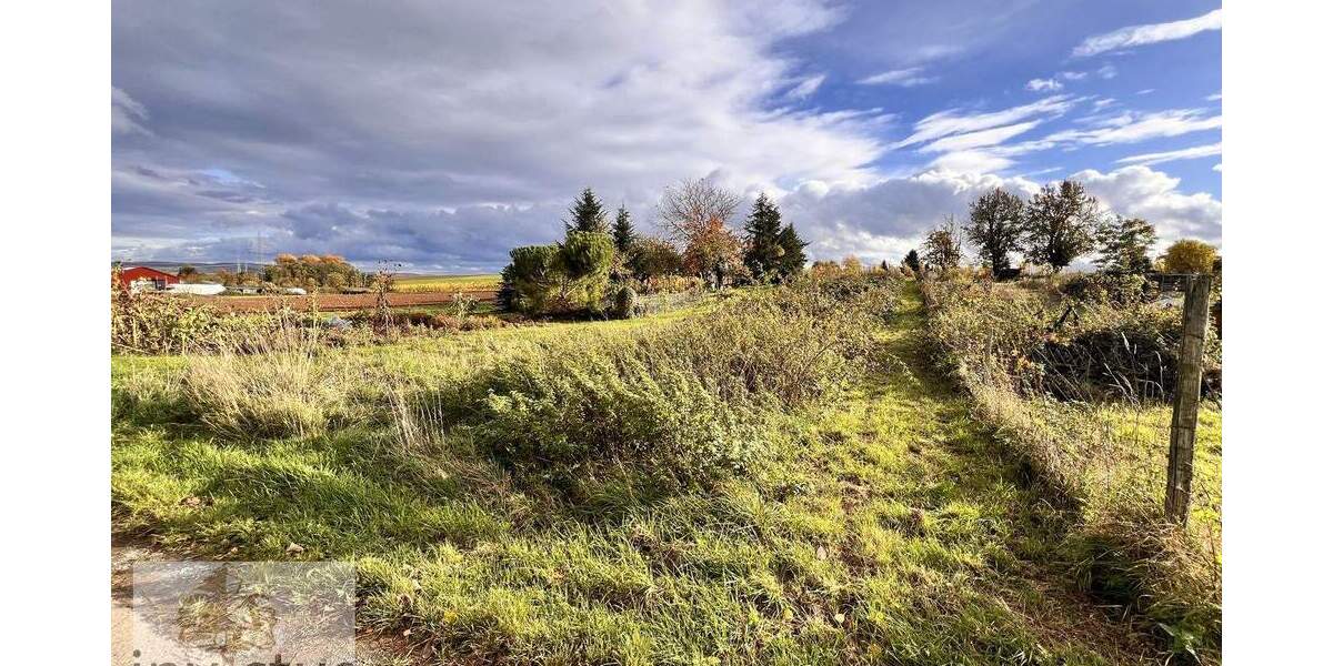 Freizeitidylle pur - Ruhe, Sonne und Natur in den Weinbergen von Leingarten zimmer