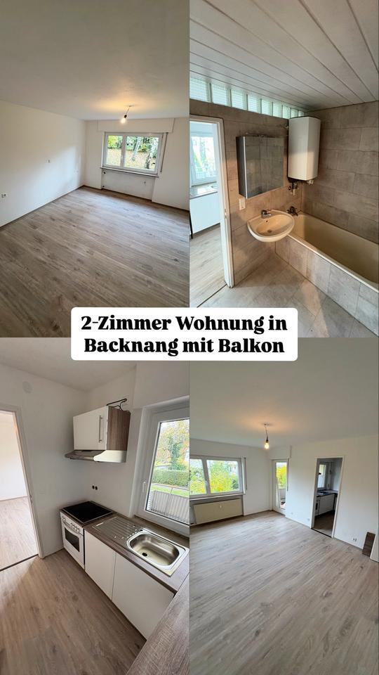 Exklusive neu renovierte 2 Zimmer Wohnung mit Balkon in Backnang zimmer
