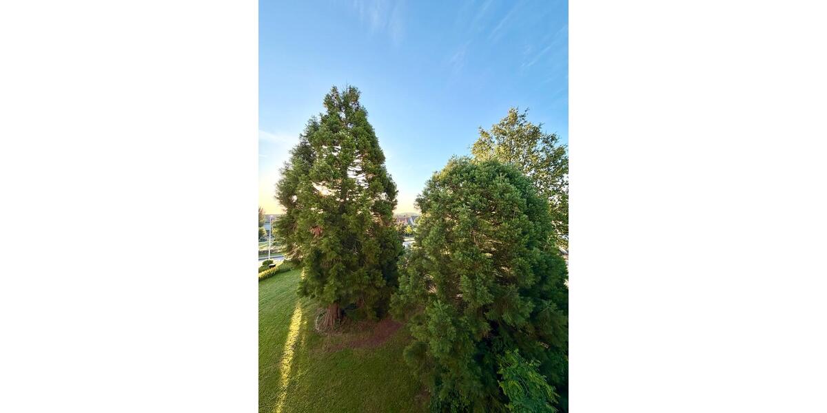 Maisonettenwohnung Bad Rappenau - 5.5 Zimmer, 160 m&sup2;, 678.000&euro; | Angebot:26960672