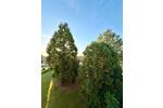 Maisonettenwohnung Bad Rappenau - 5.5 Zimmer, 160 m&sup2;, 678.000&euro; | Angebot:26960672