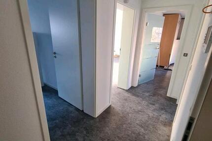 Wohnung zu vermieten zimmer