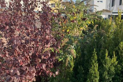 4 - Zimmer Wohnung in Weinsberg 4 zimmer