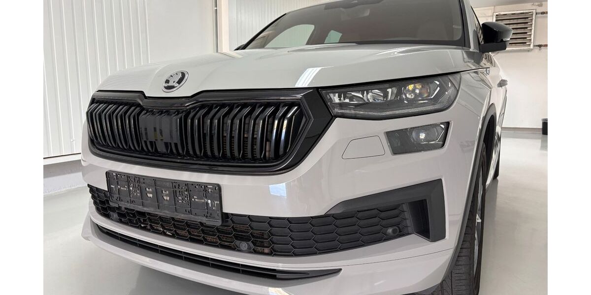 Skoda Kodiaq 127.530 km 30.450 &euro; Sinsheim 74889