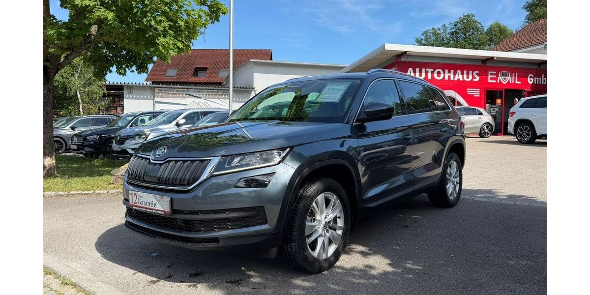 Skoda Kodiaq 115.600 km 27.990 &euro; Obersulm 74182