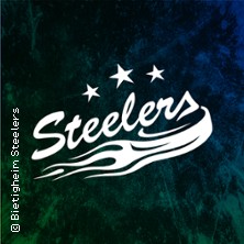 Bietigheim Steelers - Lausitzer Füchse 20.09.2026 EgeTrans Arena
