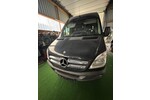 Sprinter