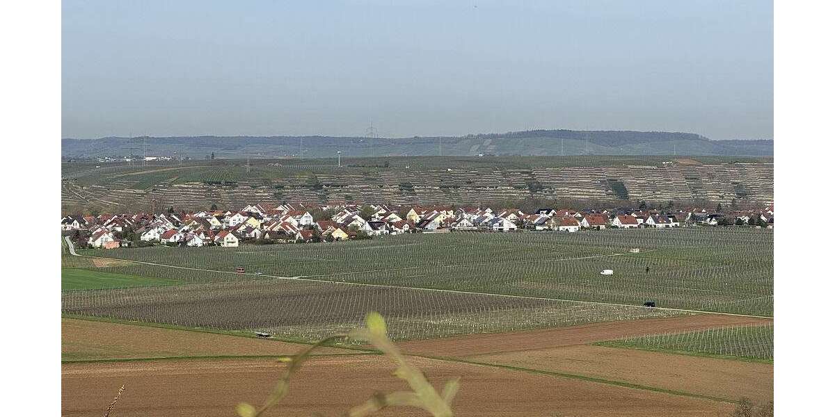 Grundstück Lauffen - 123.900&euro; | Angebot:24897679