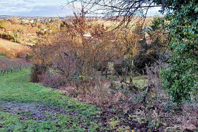Grundstück zu verkaufen in Marbach am Neckar 15.000 € 1066 m²