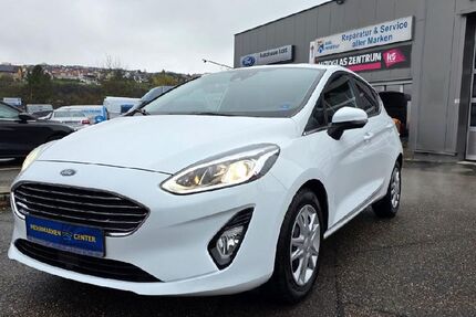 Ford Fiesta 50.110 km 14.490 &euro; Neudenau 74861