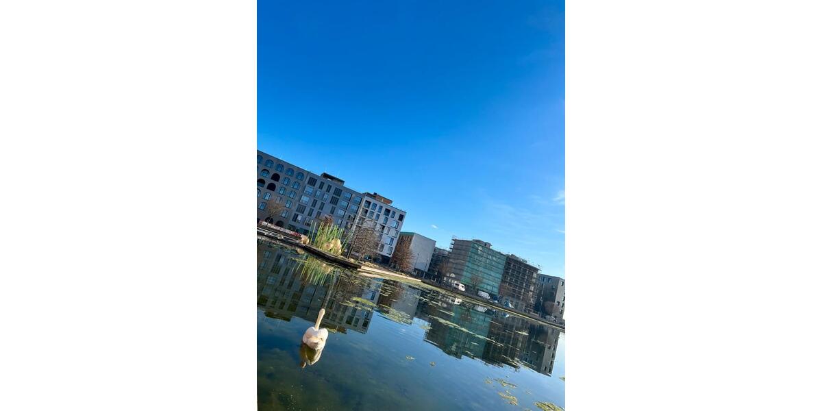 Etagenwohnung Heilbronn Kernstadt - 2 Zimmer, 60 m&sup2;, 1.200&euro; | Angebot:26342849