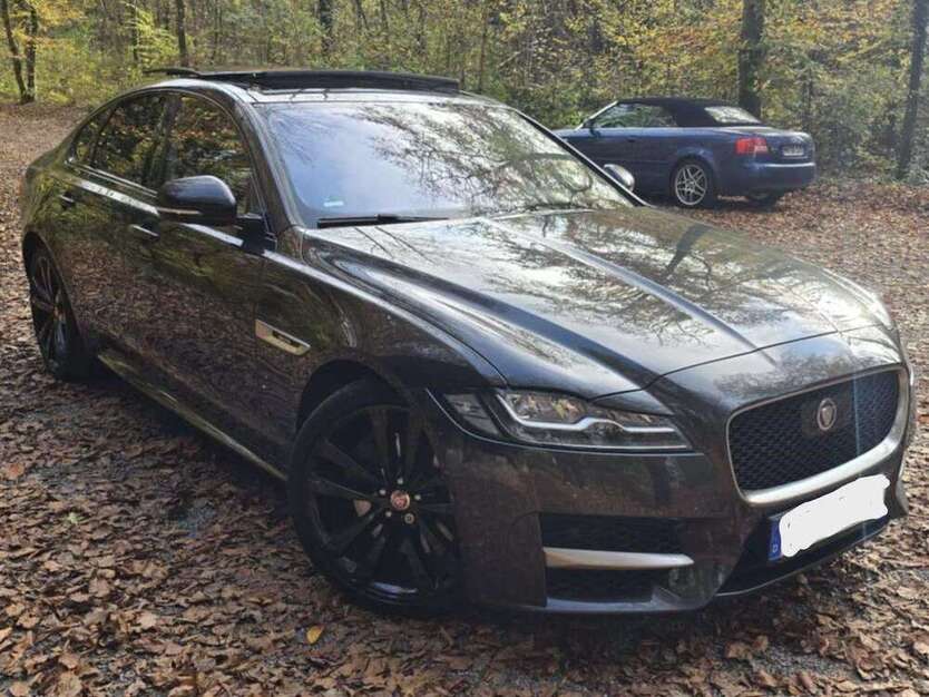 XF