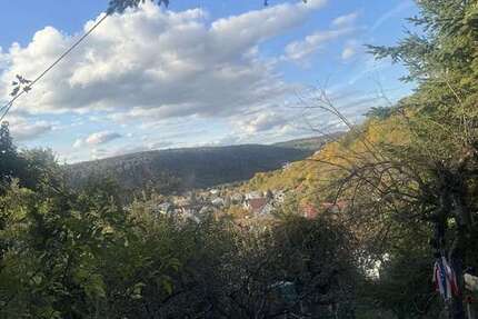 Haus Mosbach - 5 Zimmer, 175 m&sup2;, 449.000&euro; | Angebot:25883211