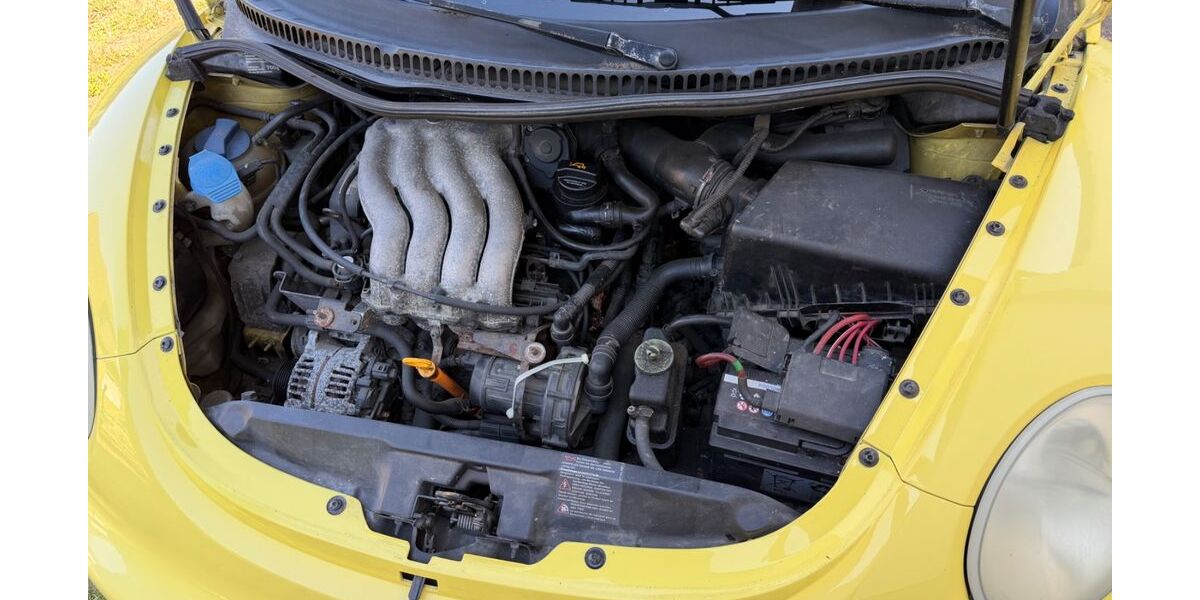 VW Beetle 298.382 km 700 &euro; Leingarten 74211