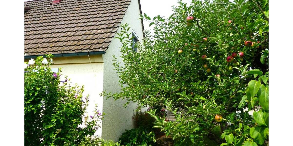 Grundstück Bietigheim-Bissingen Bietigheim - 595.000&euro; | Angebot:25777946