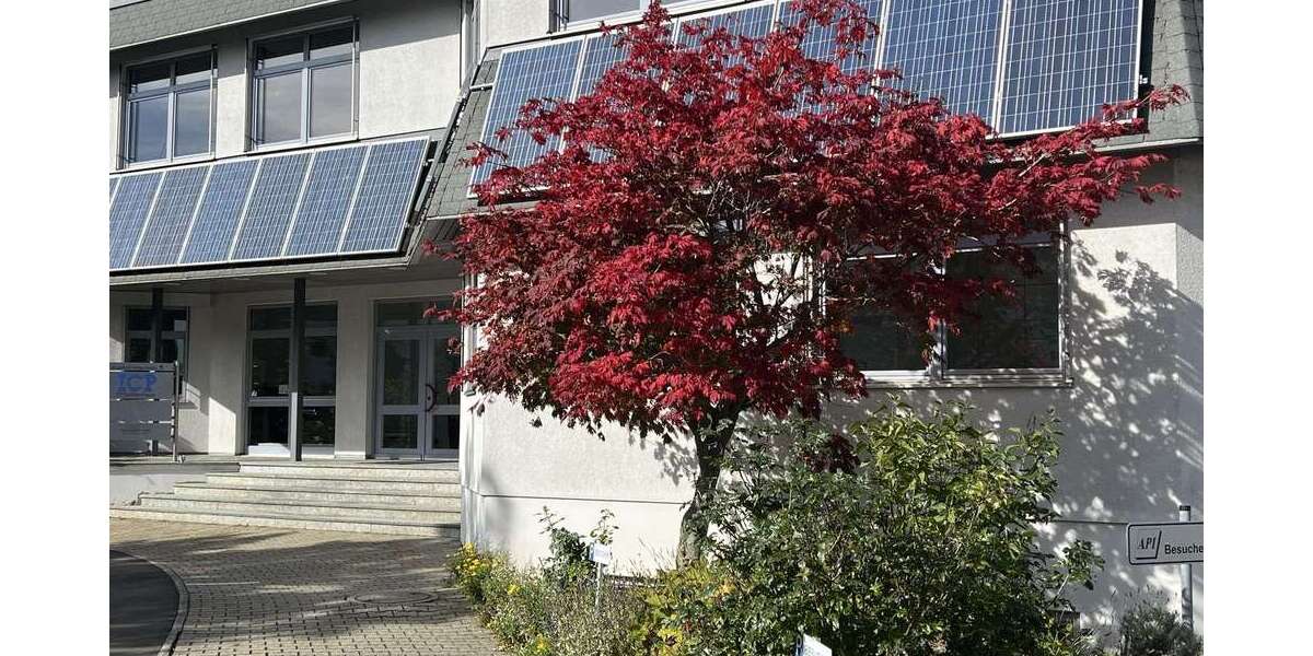 Büro in Ludwigsburg 3.550 € 355 m² zimmer