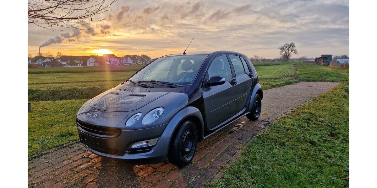 Smart ForFour 310.000 km 1.450 &euro; Bad Friedrichshall 74177