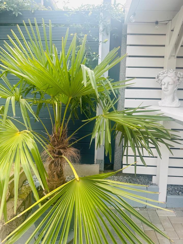 Modernes gut ausgestattetes 140 qm großes Rheihenmiittelhaus zimmer