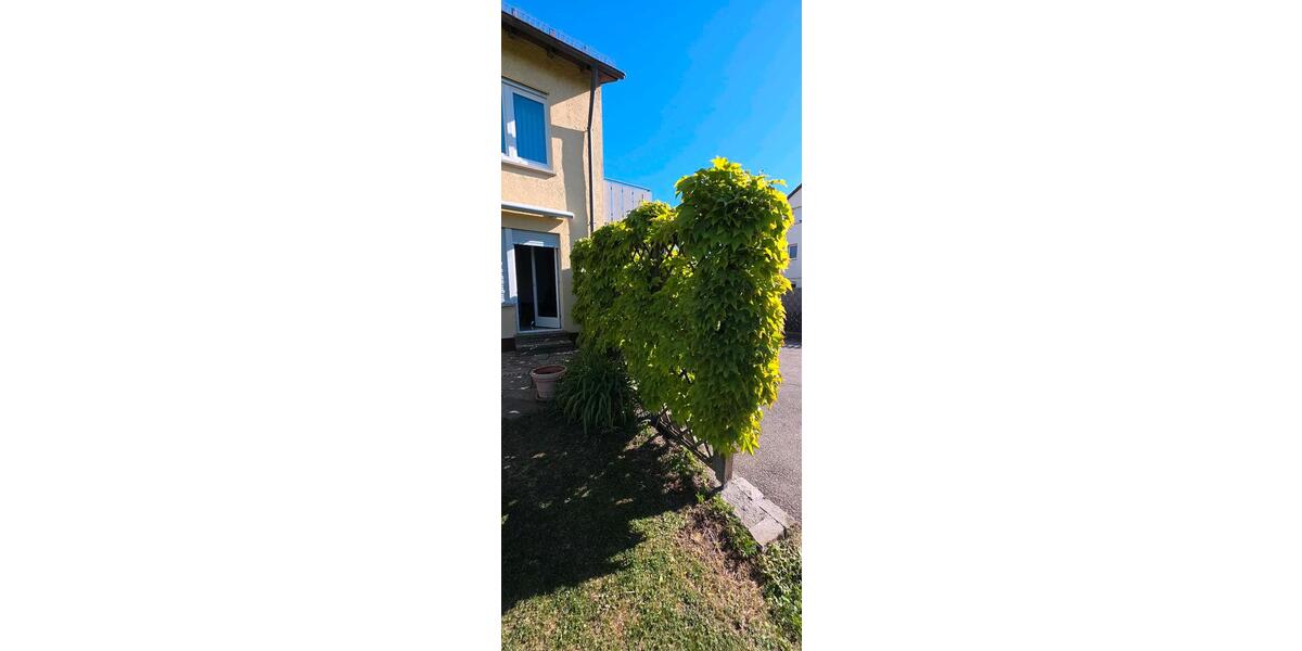 Terrassenwohnung Heilbronn Böckingen - 2 Zimmer, 48 m&sup2;, 860&euro; | Angebot:26681885