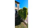 Terrassenwohnung Heilbronn Böckingen - 2 Zimmer, 48 m&sup2;, 860&euro; | Angebot:26681885