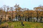 Etagenwohnung Lauffen am Neckar - 2 Zimmer, 63 m&sup2;, 820&euro; | Angebot:26337379