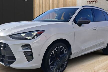 Cupra Terramar 17.200 km 43.990 &euro; Murr 71711