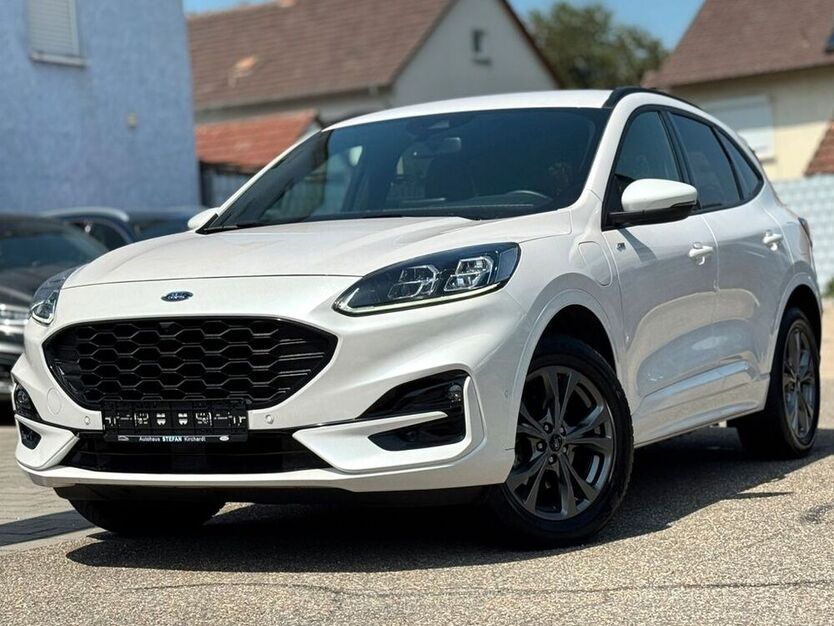 Kuga