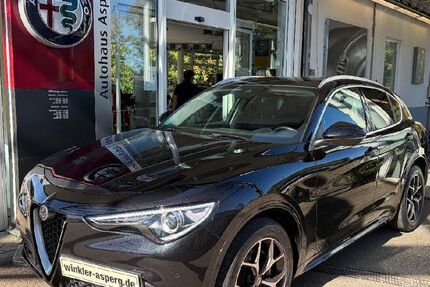 Alfa Romeo Stelvio 22.307 km 29.850 &euro; Asperg 71679