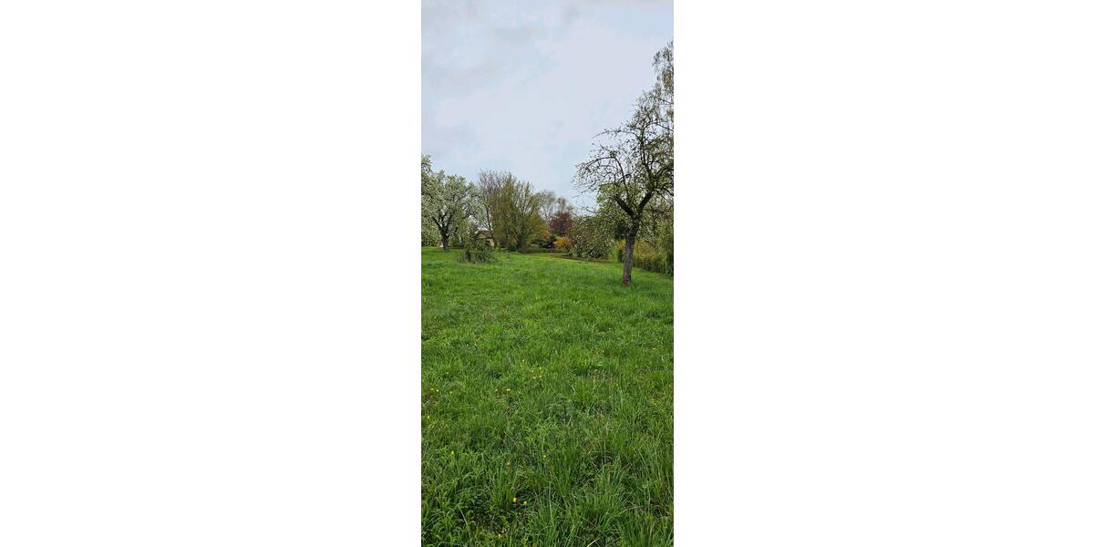 Grundstück Oberstenfeld - 1.000&euro; | Angebot:26134290
