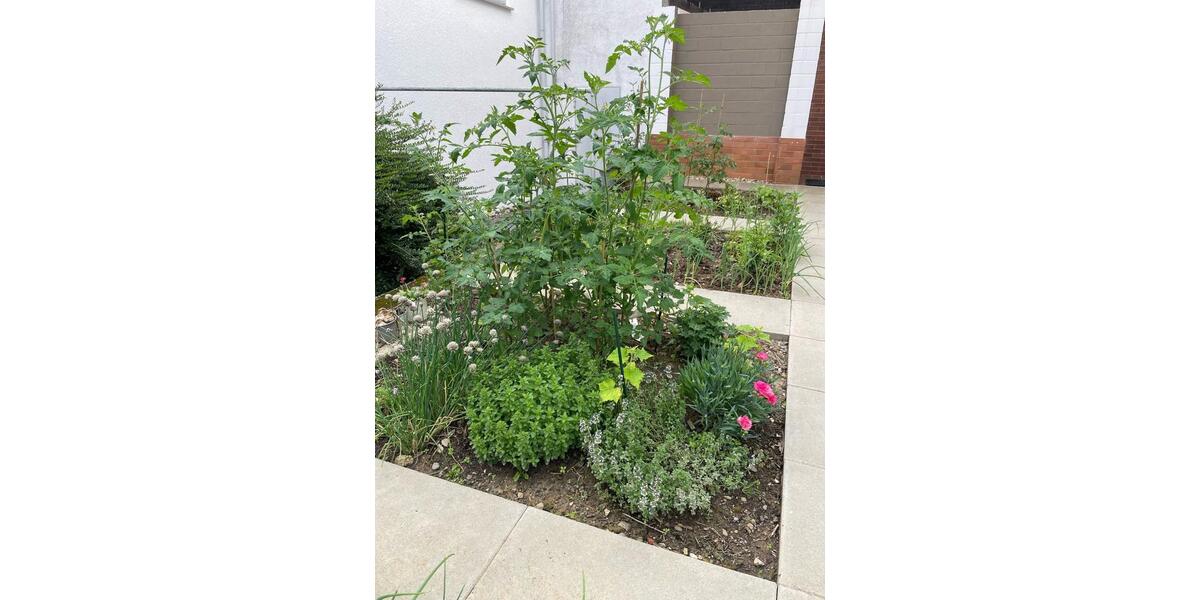 Etagenwohnung Ludwigsburg Oßweil - 1 Zimmer, 18 m&sup2;, 520&euro; | Angebot:25142435