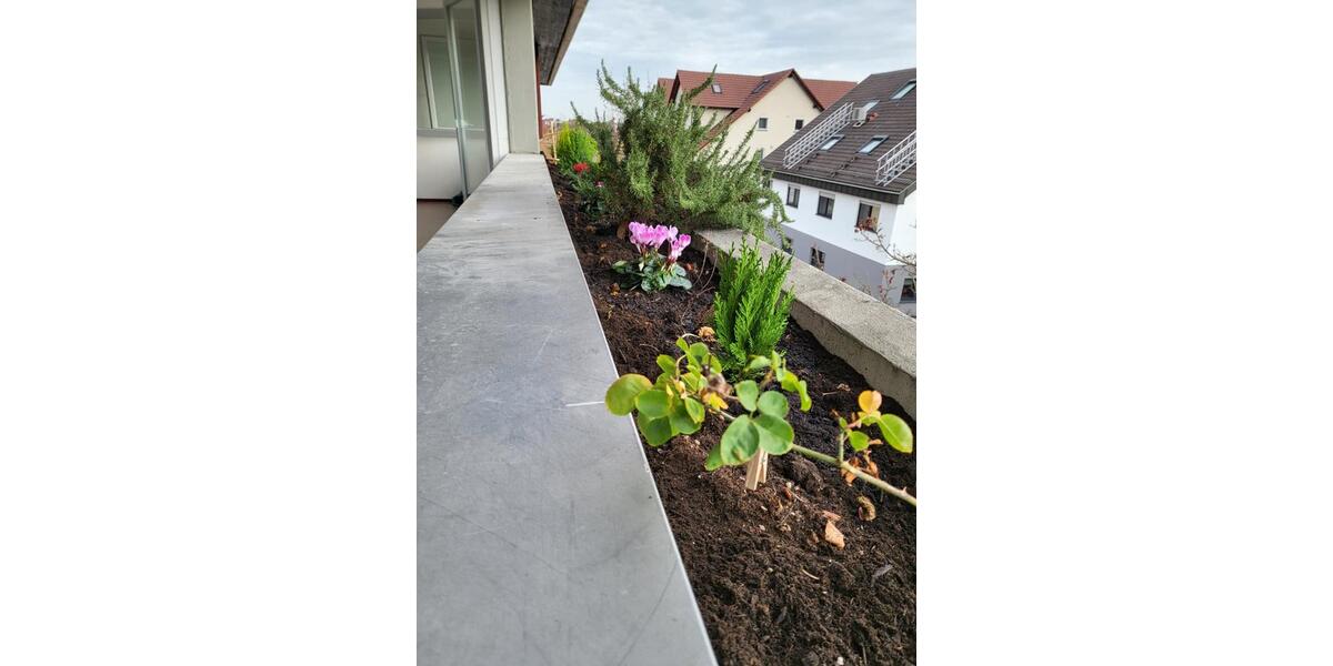 Provisionsfrei! Sehr gepflegte und moderne Wohnung in Asperg 3 zimmer