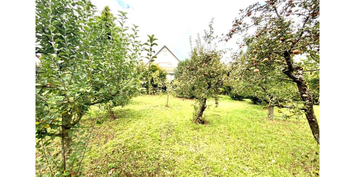 Erdgeschoßwohnung Asperg - 2.5 Zimmer, 72 m&sup2;, 990&euro; | Angebot:25341248