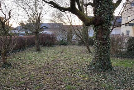 Wohnung Weinsberg - 2.5 Zimmer, 87 m&sup2;, 1.045&euro; | Angebot:25569289