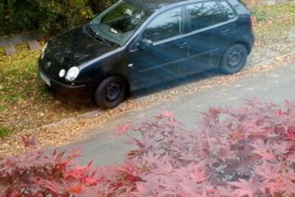 VW Polo 183.269 km 999 € Allfeld 74842