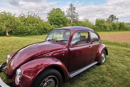 VW Käfer 139.849 km 5.800 &euro; Beilstein 71717