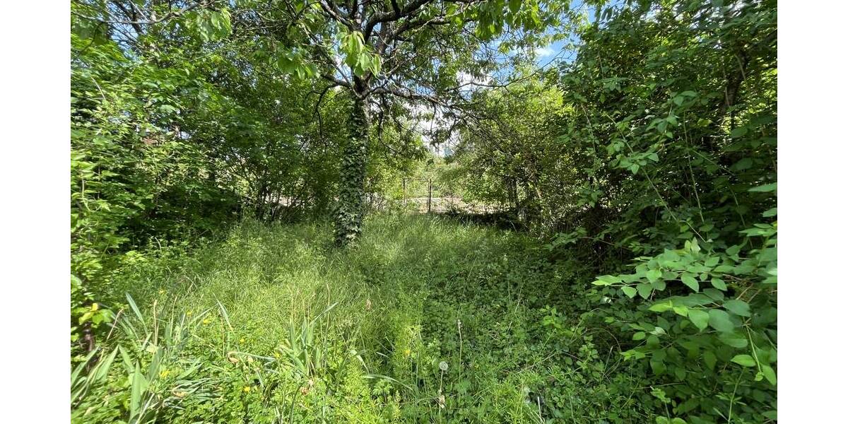 Mehrfamilienhaus, Wohnhaus Billigheim - 5 Zimmer, 90 m&sup2;, 155.000&euro; | Angebot:25999684