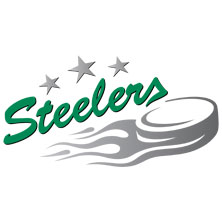 Bietigheim Steelers - Saison 2025/2026