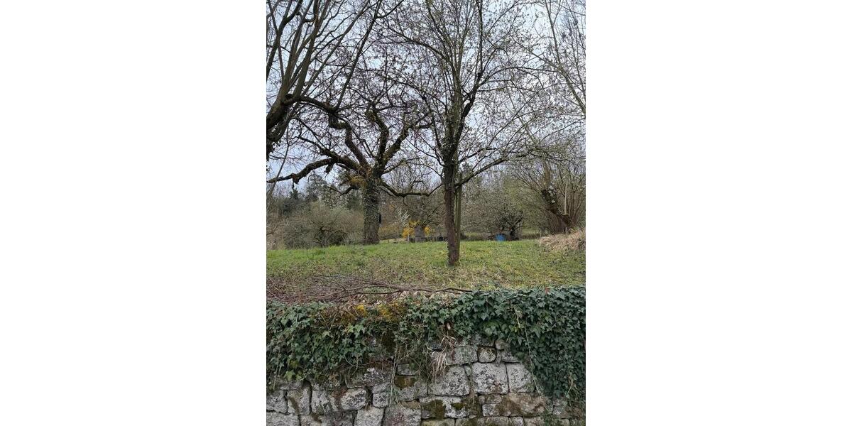 Grundstück Kirchheim am Neckar - 1.500&euro; | Angebot:26022878